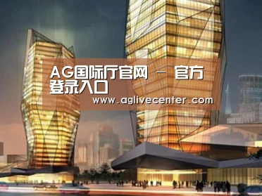 案例展示三