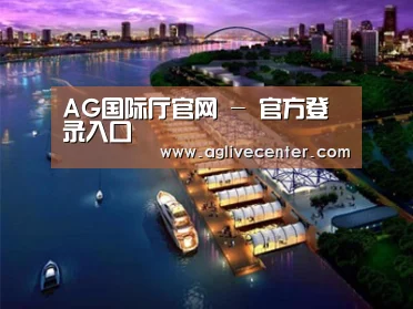 案例展示八