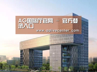 案例展示四